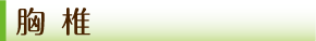胸椎